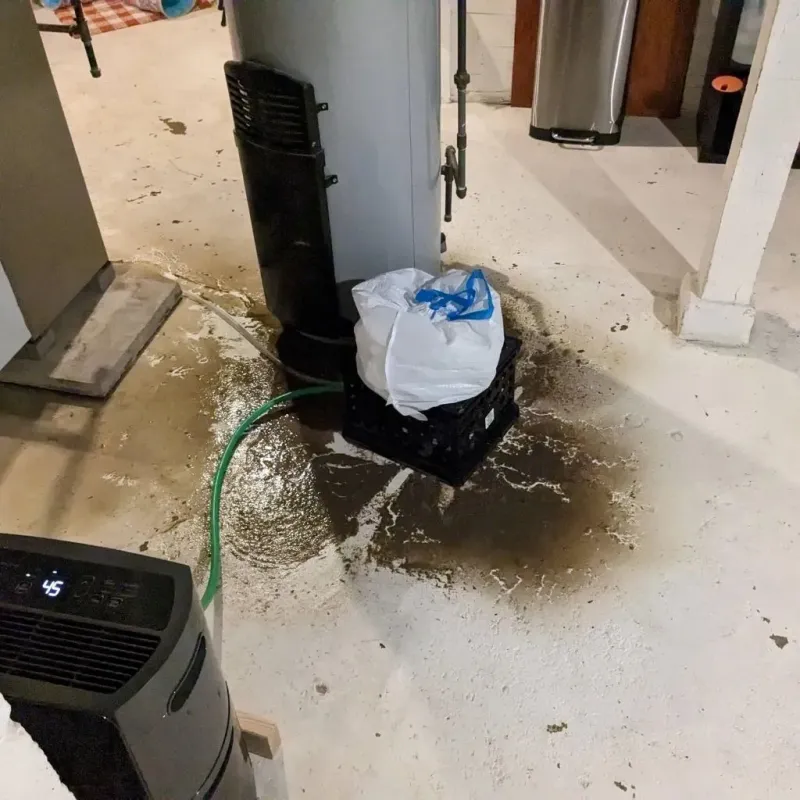 Sewage Backup Cleanup Service in Laton, CA